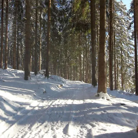 Labaika By Interhome Holiday home Harrachov